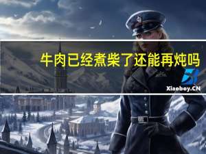 牛肉已经煮柴了还能再炖吗