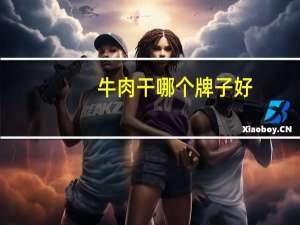 牛肉干哪个牌子好