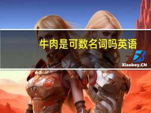 牛肉是可数名词吗英语