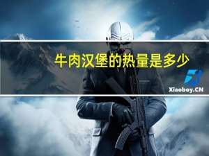 牛肉汉堡的热量是多少