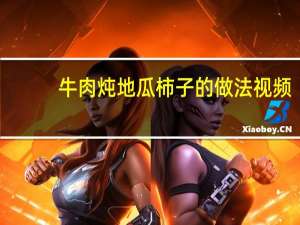 牛肉炖地瓜柿子的做法视频（牛肉炖地瓜柿子简介）