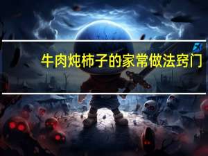 牛肉炖柿子的家常做法窍门（牛肉炖柿子的家常做法）