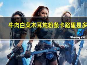 牛肉白菜木耳炖粉条卡路里是多少