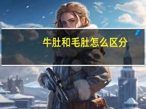 牛肚和毛肚怎么区分