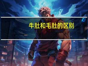 牛肚和毛肚的区别