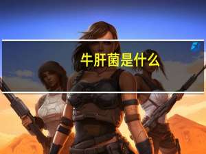 牛肝菌是什么