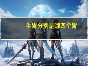 牛胃分别是哪四个胃