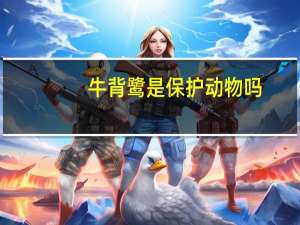 牛背鹭是保护动物吗
