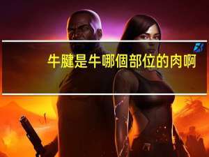 牛腱是牛哪個部位的肉啊