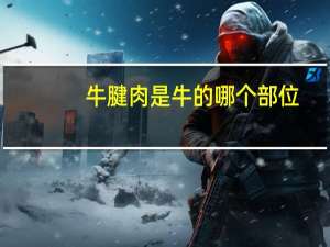 牛腱肉是牛的哪个部位