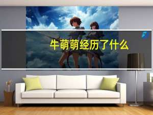 牛萌萌经历了什么（关于牛萌萌经历了什么的介绍）