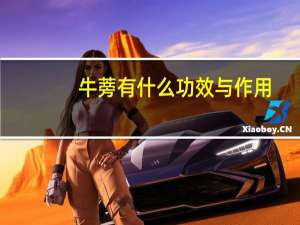 牛蒡有什么功效与作用（牛蒡有什么功效和作用）
