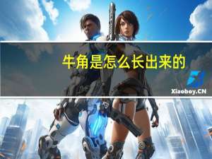 牛角是怎么长出来的