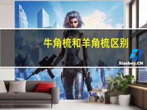 牛角梳和羊角梳区别