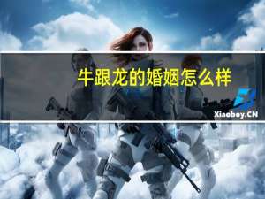 牛跟龙的婚姻怎么样