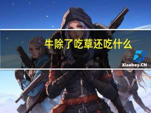 牛除了吃草还吃什么
