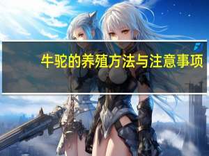 牛驼的养殖方法与注意事项