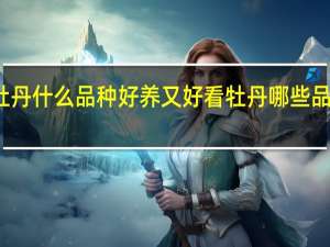 牡丹什么品种好养又好看 牡丹哪些品种好看