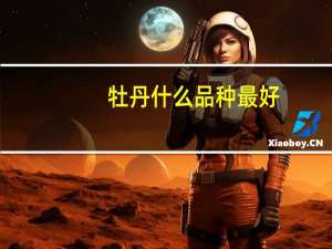 牡丹什么品种最好