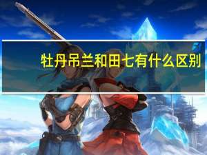牡丹吊兰和田七有什么区别
