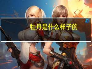 牡丹是什么样子的