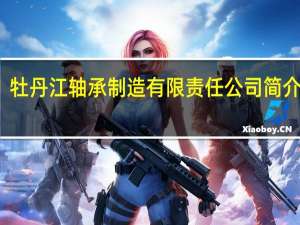 牡丹江轴承制造有限责任公司简介图片（牡丹江轴承制造有限责任公司简介）