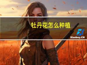 牡丹花怎么种植