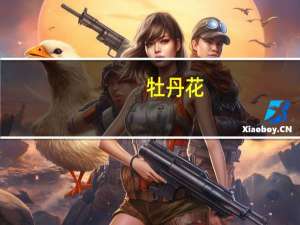 牡丹花（关于牡丹花的介绍）