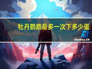 牡丹鹦鹉最多一次下多少蛋