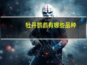 牡丹鹦鹉有哪些品种