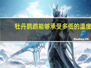 牡丹鹦鹉能够承受多低的温度