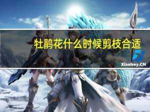 牡鹃花什么时候剪枝合适