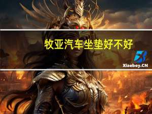 牧亚汽车坐垫好不好