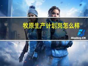 牧原生产计划岗怎么样