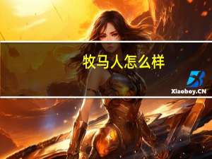 牧马人怎么样
