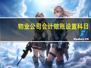 物业公司会计做账设置科目（物业公司会计做账流程）