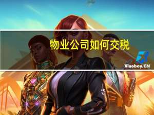 物业公司如何交税