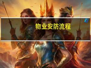 物业安防流程