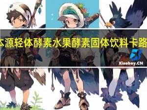 物本源 轻体酵素 水果酵素固体饮料卡路里是多少