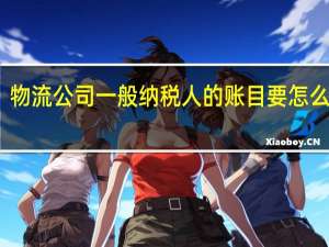 物流公司一般纳税人的账目要怎么避税