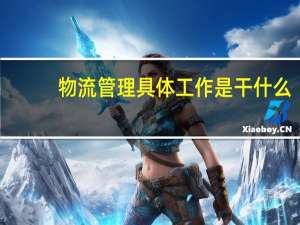 物流管理具体工作是干什么