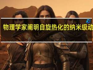 物理学家阐明自旋热化的纳米级动力学
