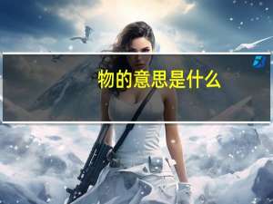 物的意思是什么
