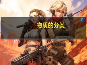 物质的分类