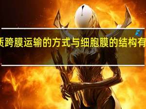 物质跨膜运输的方式与细胞膜的结构有什么关系（物质跨膜运输的方式）