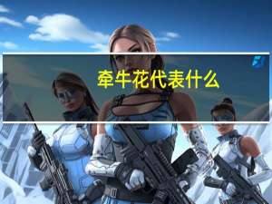 牵牛花代表什么