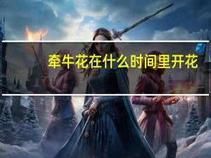 牵牛花在什么时间里开花