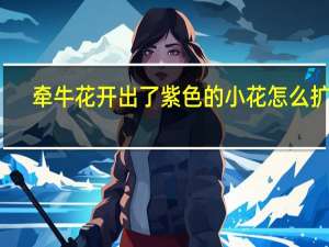 牵牛花开出了紫色的小花怎么扩句