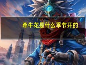 牵牛花是什么季节开的