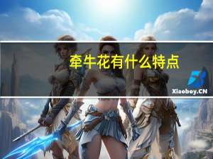 牵牛花有什么特点